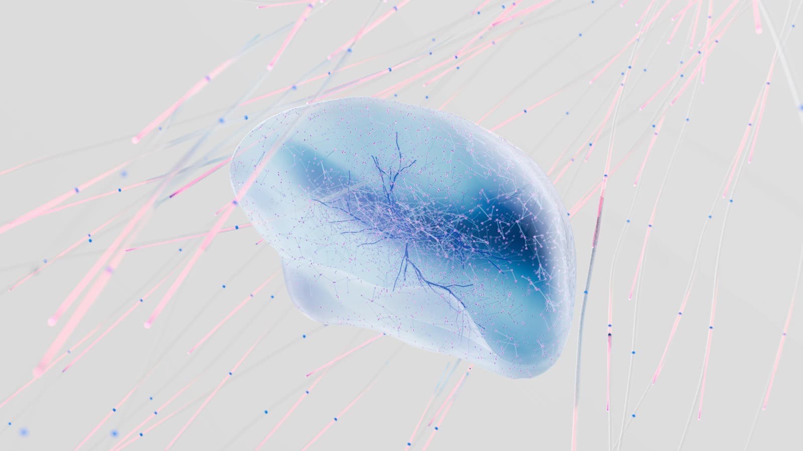 Abstract visualisation of a private large language model system